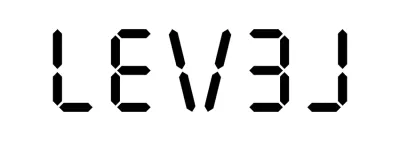 LEV3L IT UG